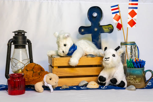 Stuffed Animal