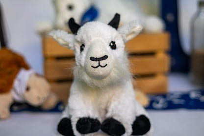 Stuffed Animal