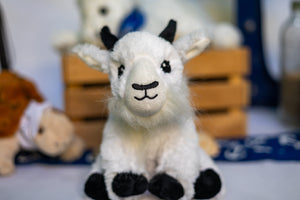 Stuffed Animal