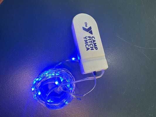 Bunk Lights