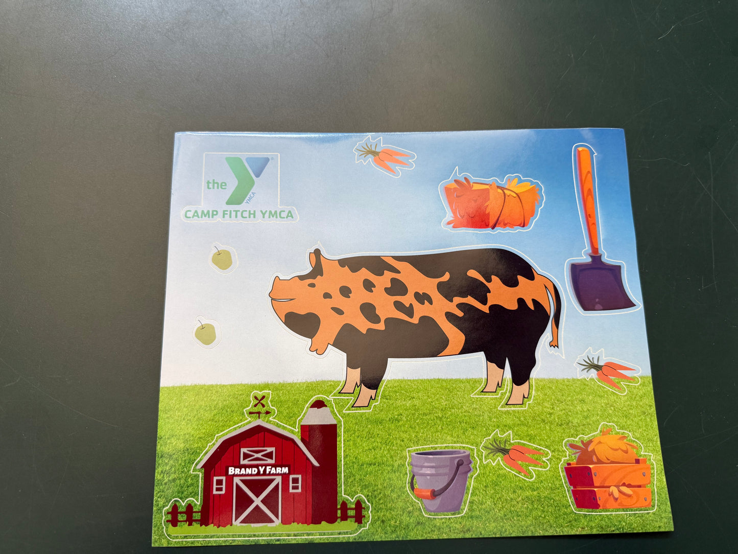 Animal Sticker Sheets