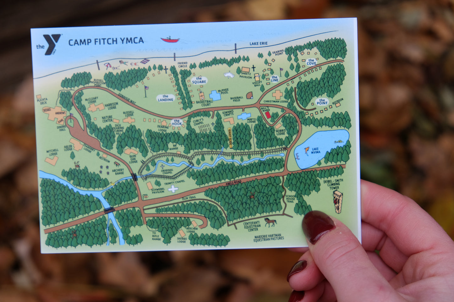 Postcard